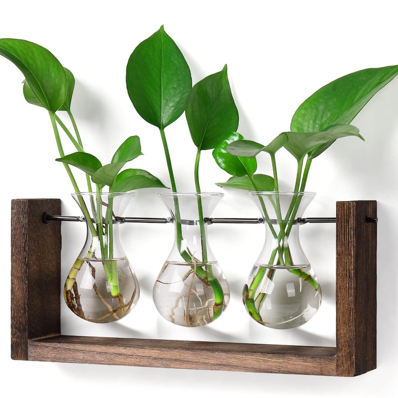 YIBOT Plants Propagation Stations with Wooden Stand  Wall Hanging Glass Planter Tabletop Terrarium Bulb Vase for Hydroponics Plants Home Office Decor-3 Vase - Image 1